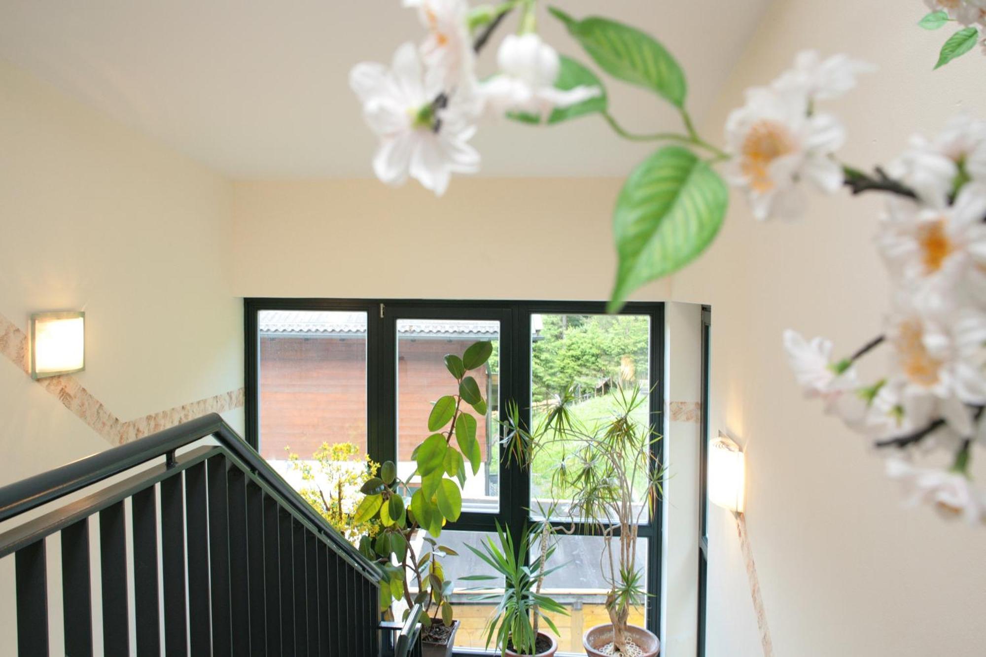 Der Wildbachhof - Contactless Check In Apartment Zell am See Ngoại thất bức ảnh